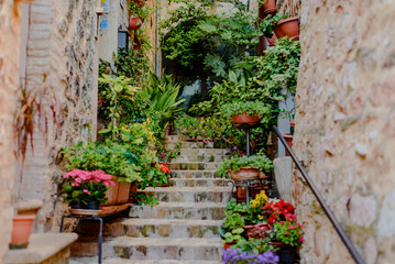 Fototapeta na wymiar View of the city and small lanes of the town of Spello in Umbria Italy province of Perugia Italy