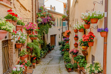 Colorful and narrow alleys of Spello city of umbria in italy - obrazy, fototapety, plakaty