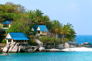 island of a palm tree house