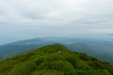 Blue mountains in fog and green summer valley