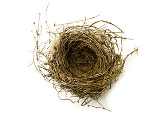 Natural Birds Nest on a White Background