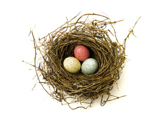 Natural Birds Nest on a White Background