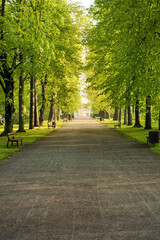 Parklandschaft