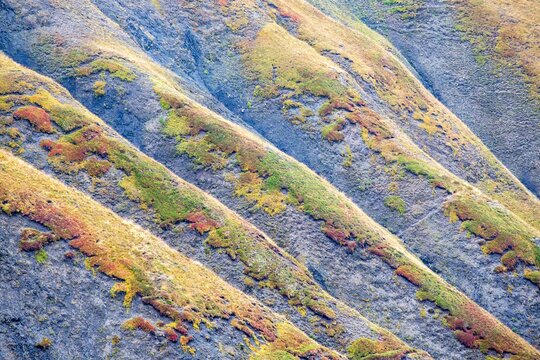 Detail of the unusual colors painting the slopes of the Arvan valley - Arvan valley, Alps, France.Europe