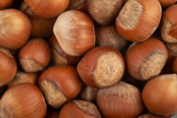 Surface coated with hazelnuts