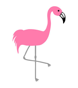 Pink flamingo vector illustration doodle cartoon drawing.