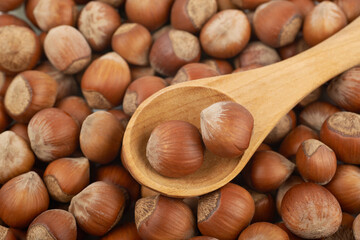 Surface coated with hazelnuts