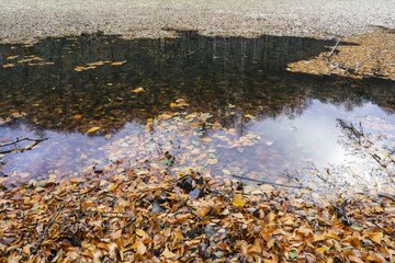 lake in the wood with water reflection. seven lakes National Park. 
