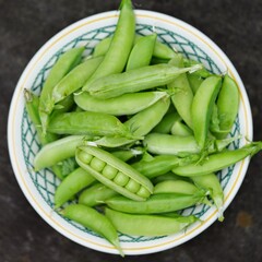 Freshly picked green garden peas in the pod 