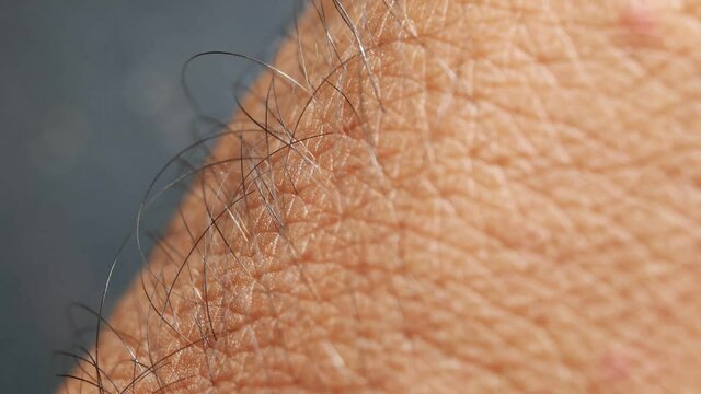 Close up of Human Skin Texture 
