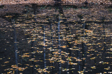 lake in the wood with water reflection. seven lakes National Park. 