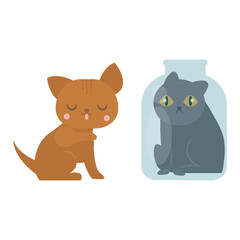 Cute cats character different pose funny animal domestic kitten vector illustration.
