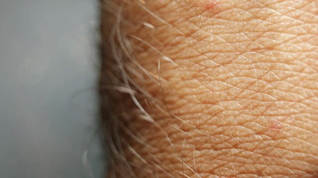 Close up of Human Skin Texture 
