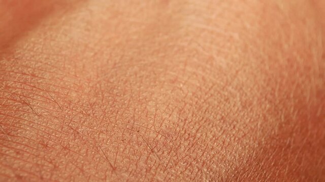 Close up of Human Skin Texture 
