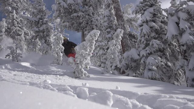 Super slow motion 240fps - Skier turning in deep power, bluebird day, snow covered trees