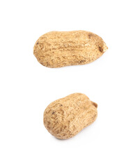 Single peanut in a shell isolated