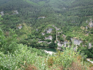 Gorges du tarn