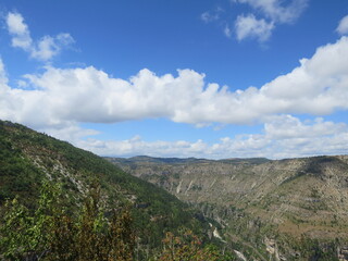 Fototapeta premium Gorges du tarn