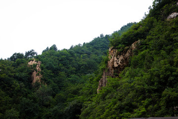 Fototapeta na wymiar Chinese Forest