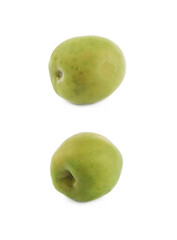Single green olive isolated