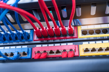 network cables connected to a switch