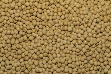Soy beans - Especial select seeds