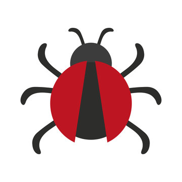 bug or beatle icon image vector illustration design 
