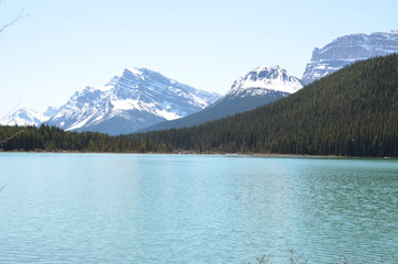 Obraz premium Canadian Rockies