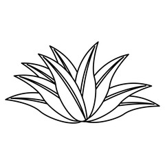 plant leaves tropical nature botanical outline vector illustration