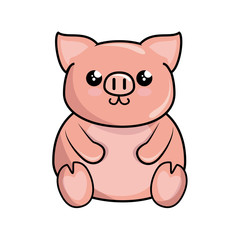 kawaii piggy animal icon over white background. colorful design. vector illustration