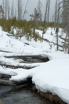 Fern Cascades Loop Trail, Winter, Yellowstone NP
