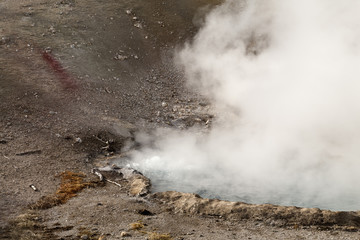 Beryl Spring, Winter, Yellowstone NP
