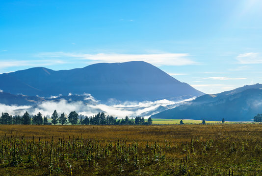 Panoramic image of beautiful fog covering Castle Hill in the morning , between Darfield and Arthur's Pass , South Island of New Zealand