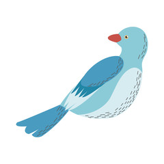 decorative bird feather animal ornate vector illustration