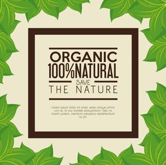 Organic label with frame and leaves over beige background. Vector illustration.