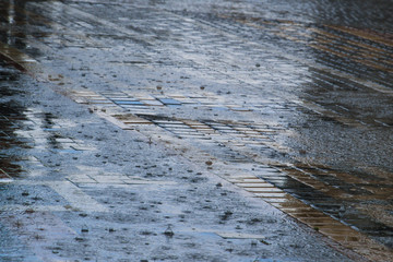 Raindrops in a puddle