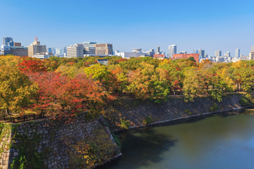 Aerial view of Osaka cityscape in autumn season at Osaka, Japan