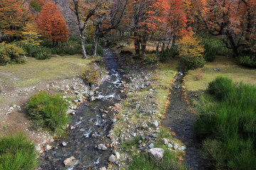 The river divides, one to the Pacific, the other to the Atlantic, Arroyo Partido, Neuquen, Argentina