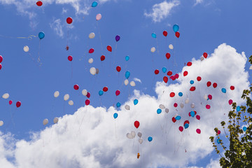 Many colored balloons in the sky