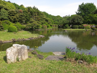 Fototapeta na wymiar ツツジやカキツバタが咲く小石川植物園の日本庭園
