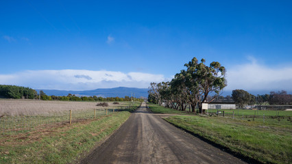 Rural road in Tasmania