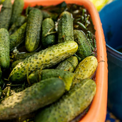 cucumbers pickles appetizer