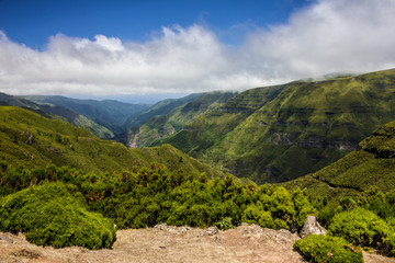 Fototapeta premium Green hills natural landscape, Madeira island, Portugal