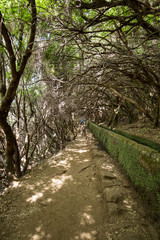 Tourist is walking along levada canal. Madeira island, Portugal