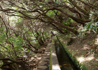 Tourist is walking along levada canal. Madeira island, Portugal