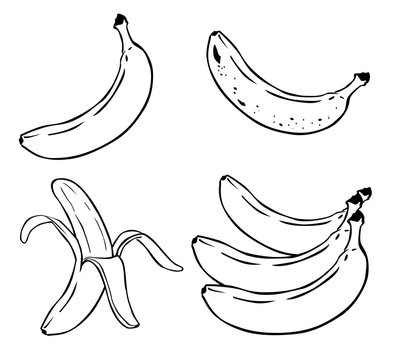 Cartoon Illustration of Banana Fruit Food Object vector eps 10
