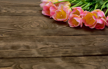 Spring tulip flowers over wooden background. Pink tulips.