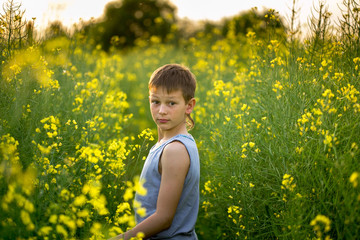 Naklejka na ściany i meble Boy on a yellow rapeseed field in the evening at sunset