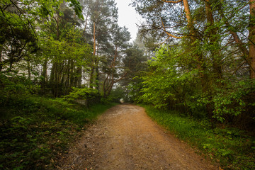 Obraz premium Foggy morning at the Baltic sea coast. Jastrzebia Gora, Poland