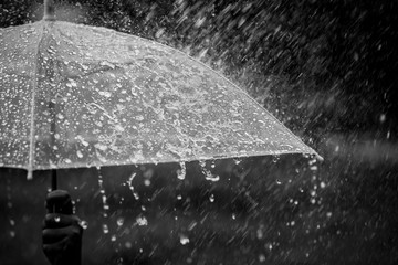 Splashing water on umbrella in the rain in black and white color tone - obrazy, fototapety, plakaty